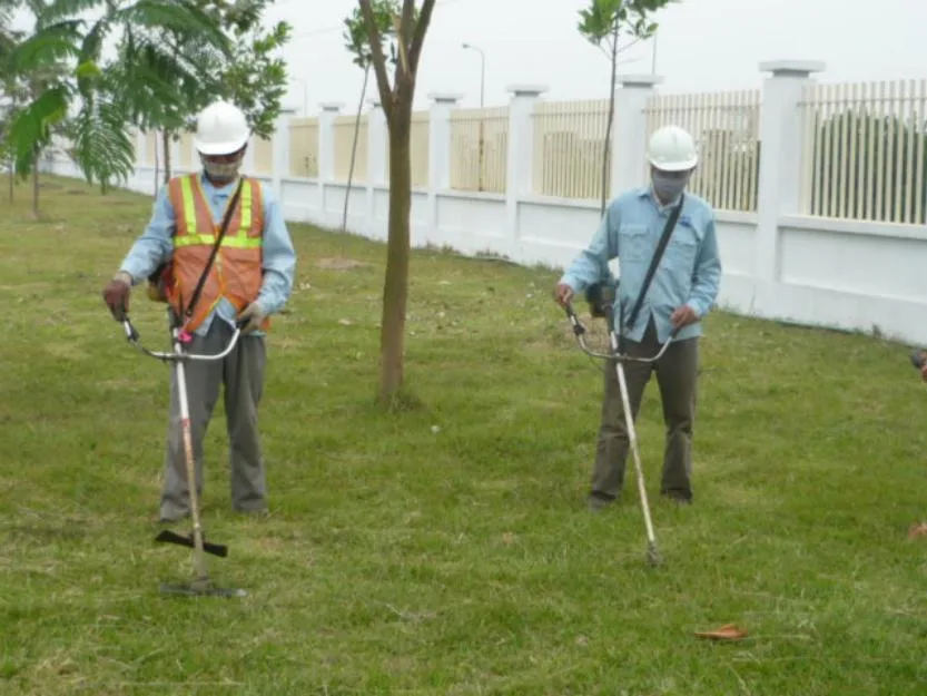 Dịch Vụ Cắt Cỏ Tại Khu Công Nghiệp Vân Trung, Bắc Giang