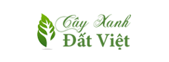 Cây Xanh Đô Thị Việt